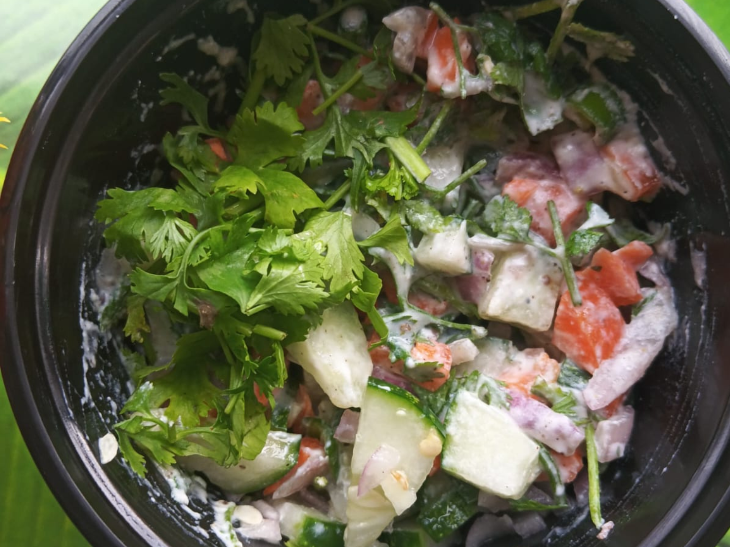 Carrot & Cucumber Salad Bowl