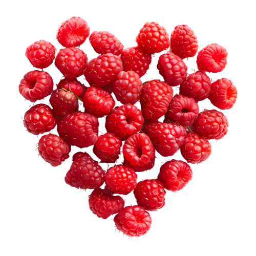 Freshly Made Daily Icon